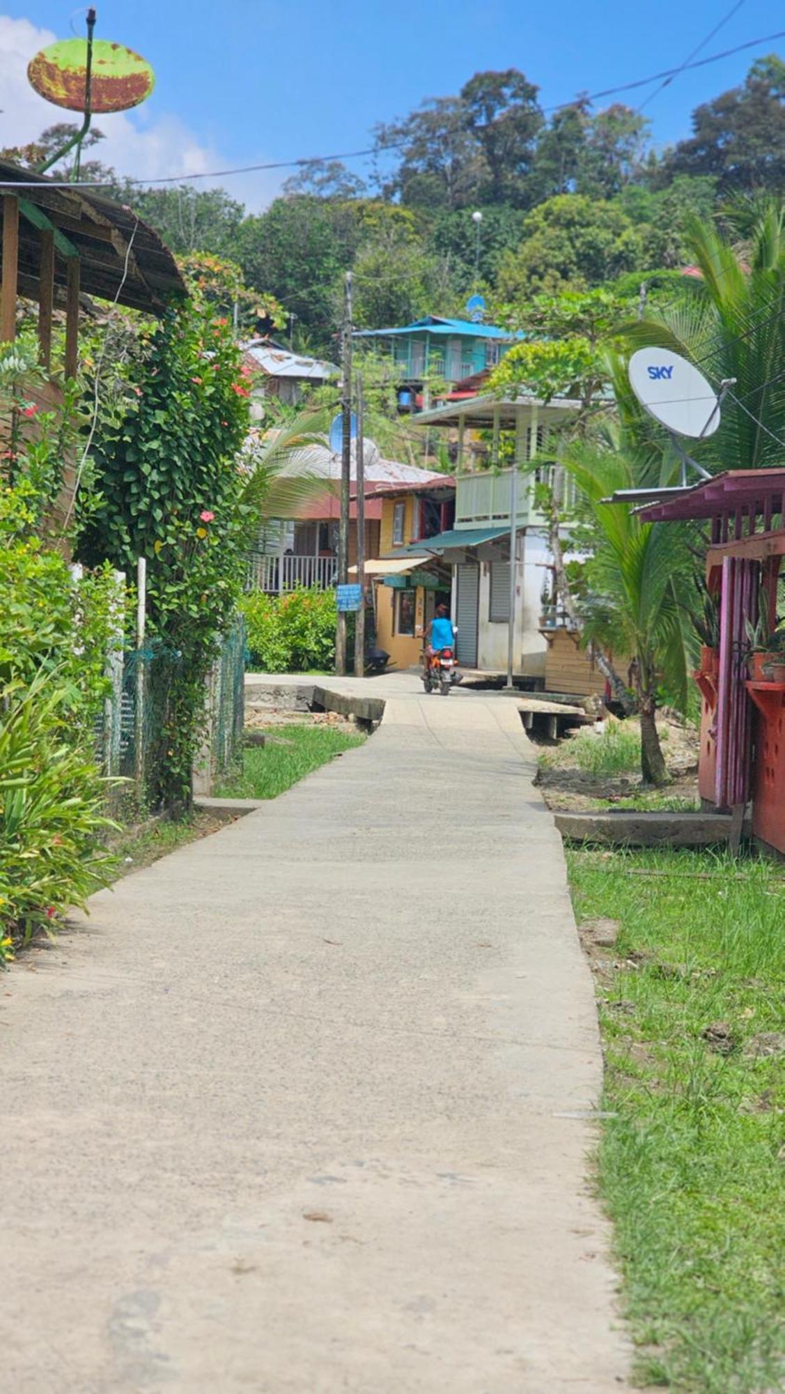 Bastimentos Hill Guest House Bocas del Toro Exteriér fotografie